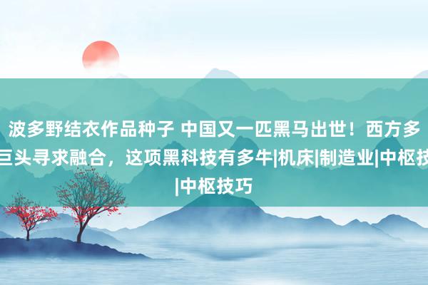 波多野结衣作品种子 中国又一匹黑马出世！西方多家巨头寻求融合，这项黑科技有多牛|机床|制造业|中枢技巧