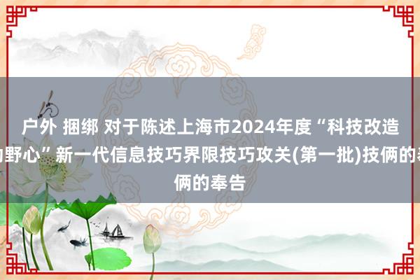 户外 捆绑 对于陈述上海市2024年度“科技改造行动野心”新一代信息技巧界限技巧攻关(第一批)技俩的奉告