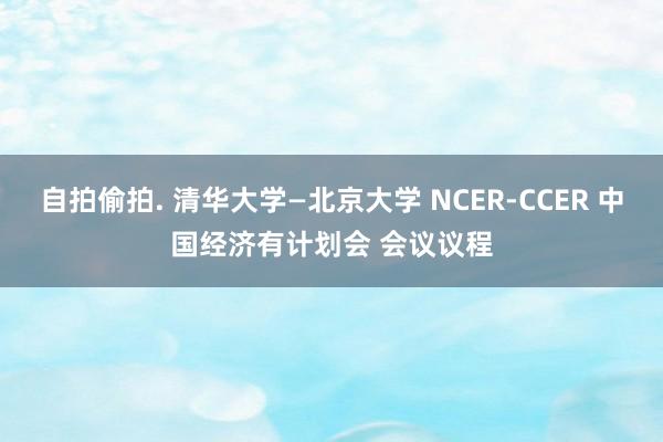 自拍偷拍. 清华大学—北京大学 NCER-CCER 中国经济有计划会 会议议程