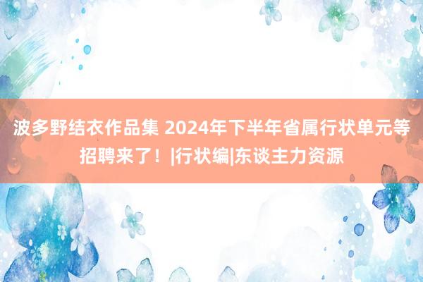 波多野结衣作品集 2024年下半年省属行状单元等招聘来了！|行状编|东谈主力资源