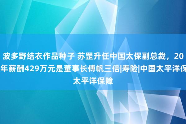 波多野结衣作品种子 苏罡升任中国太保副总裁，2023年薪酬429万元是董事长傅帆三倍|寿险|中国太平洋保障