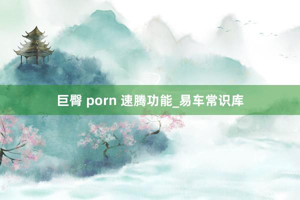 巨臀 porn 速腾功能_易车常识库