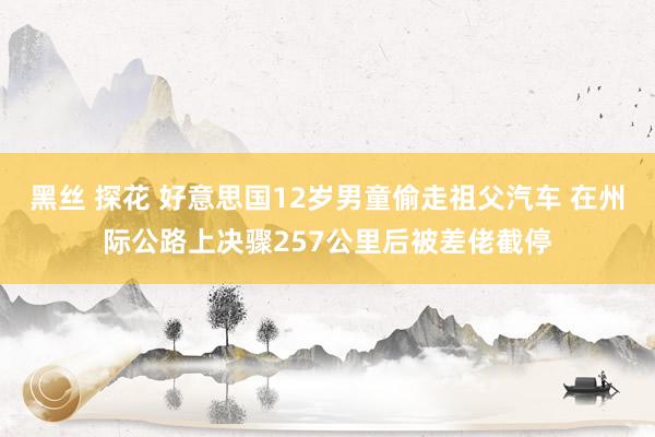 黑丝 探花 好意思国12岁男童偷走祖父汽车 在州际公路上决骤257公里后被差佬截停